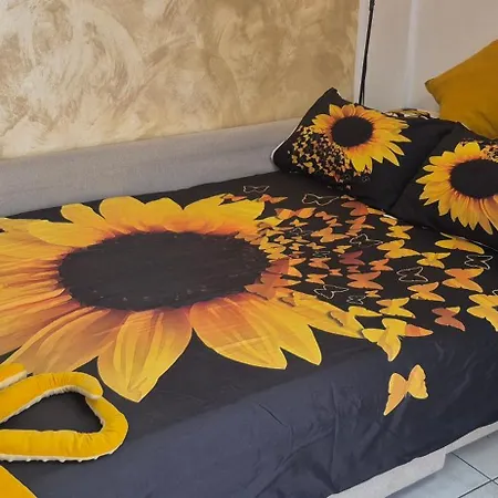 Team019 Casa Bruno Terrace & Sicilian Charm Catania
